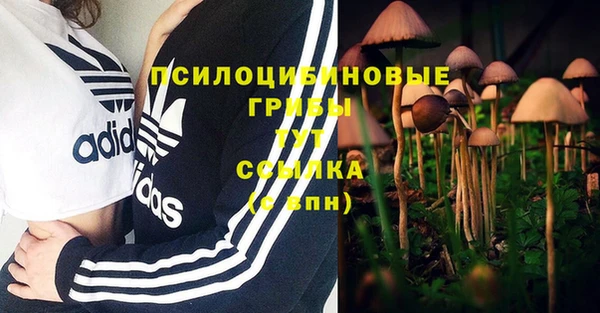 синтетический гашиш Белоозёрский