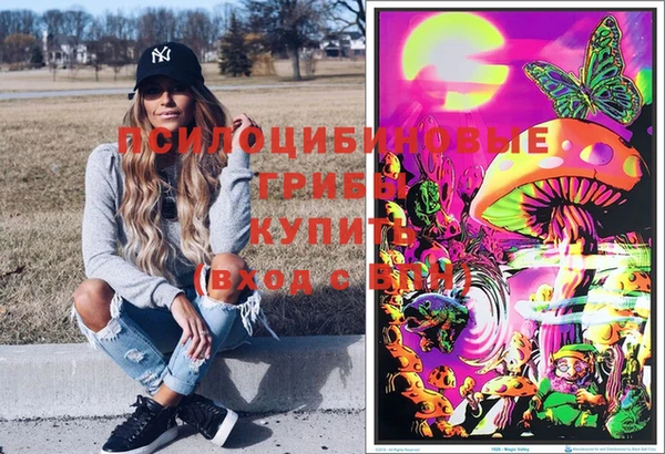 альфа пвп Беломорск